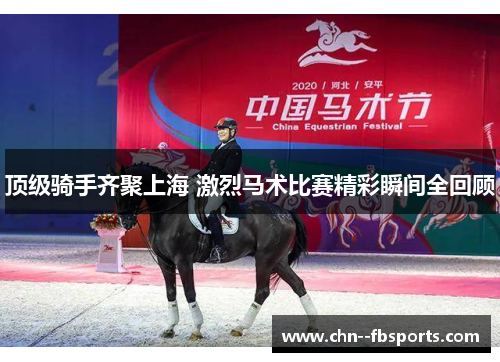 顶级骑手齐聚上海 激烈马术比赛精彩瞬间全回顾